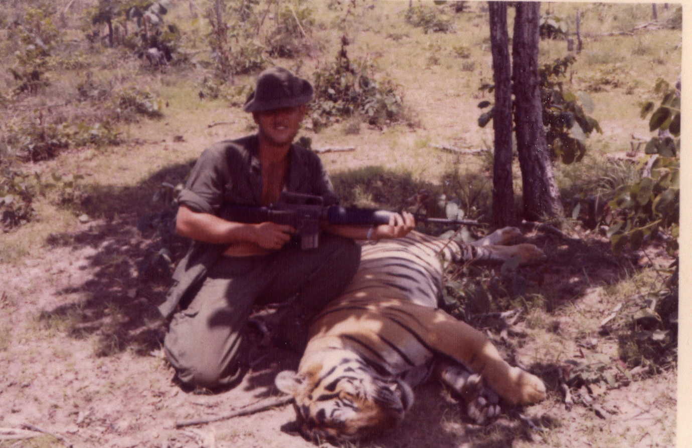 tigerkill.jpg